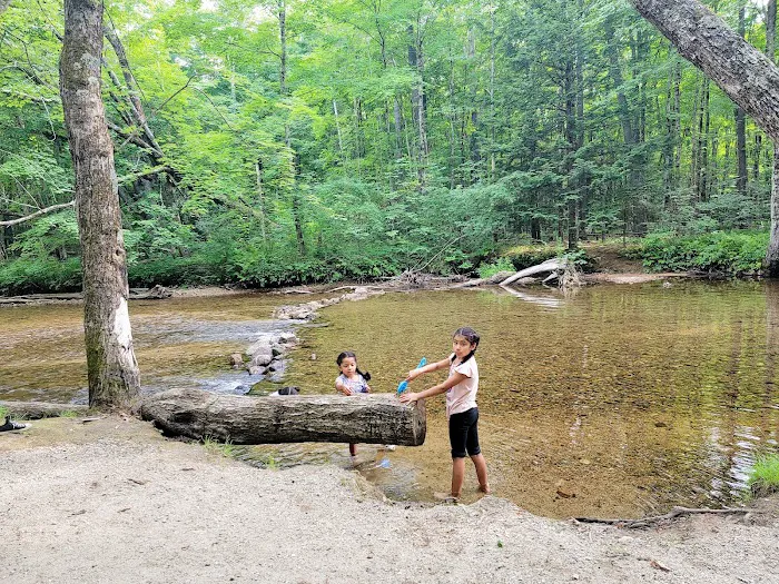 Tamworth Campground (A Modern America Campground) Picture 4