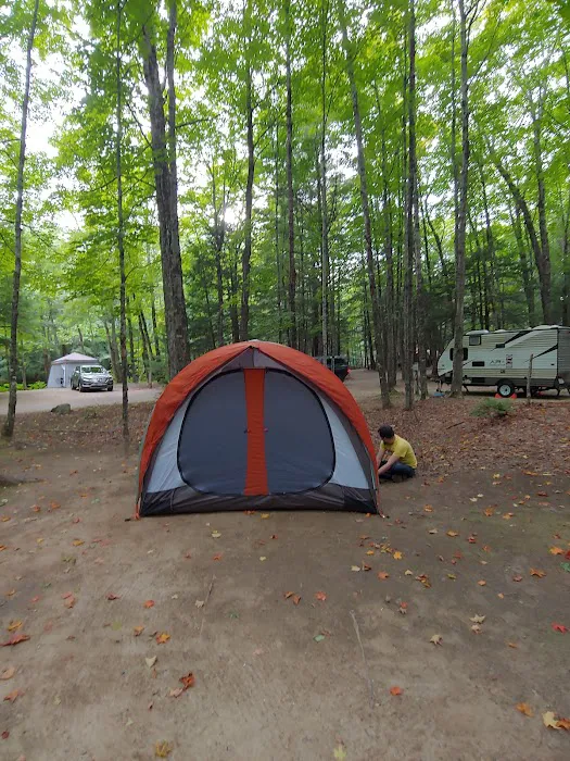Tamworth Campground (A Modern America Campground) Picture 2