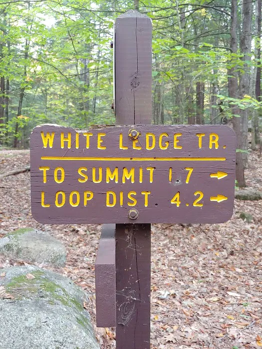 White Ledge Campground Picture 5