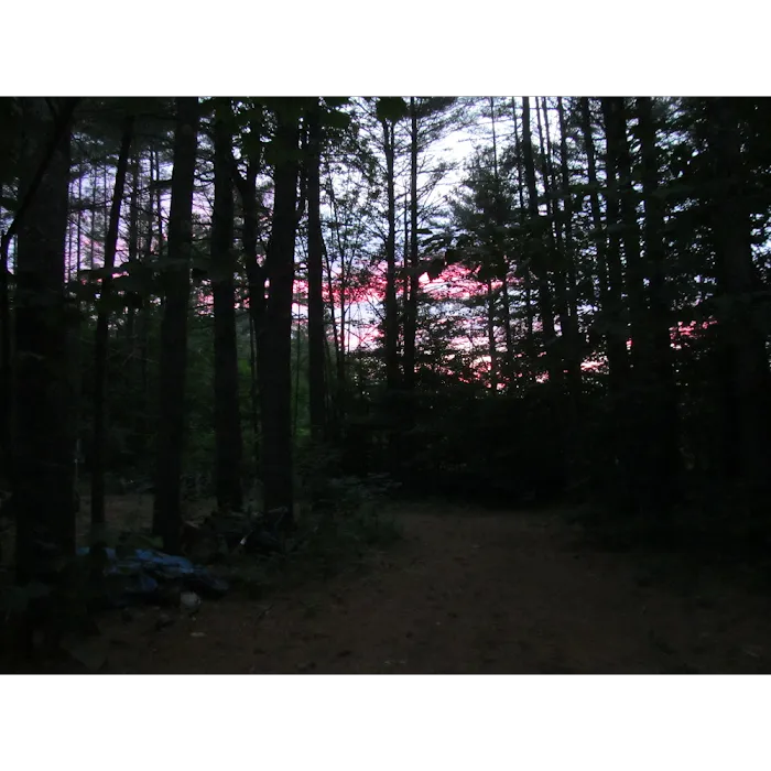 Bearcamp River Campground Picture 9