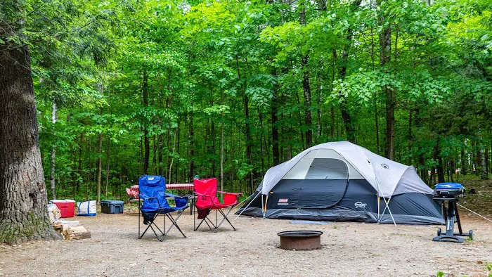 Camp Whiteface Mountain Picture 8