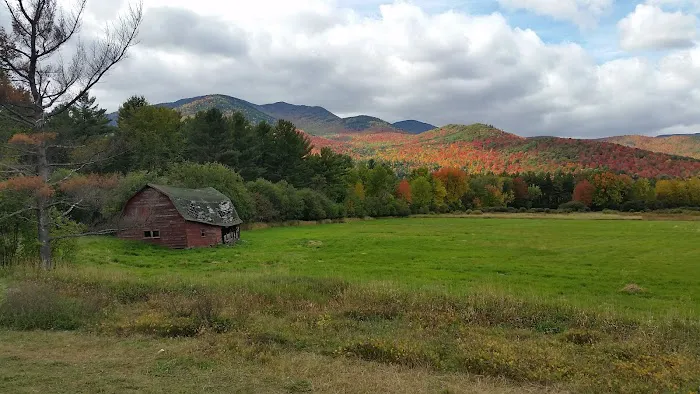 Taylor Pond Campground Picture 4