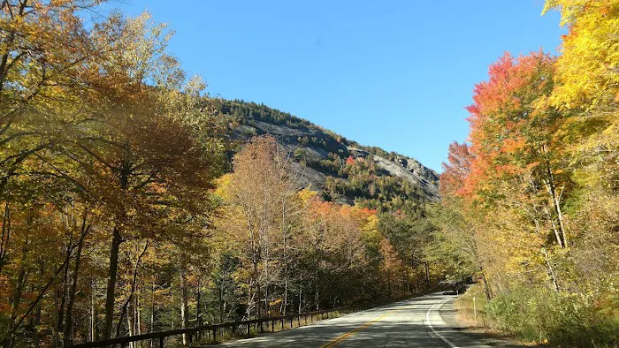 Taylor Pond Campground Picture 7