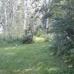 Burns Lake Campground