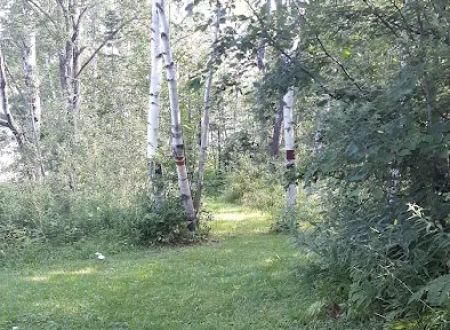 Burns Lake Campground