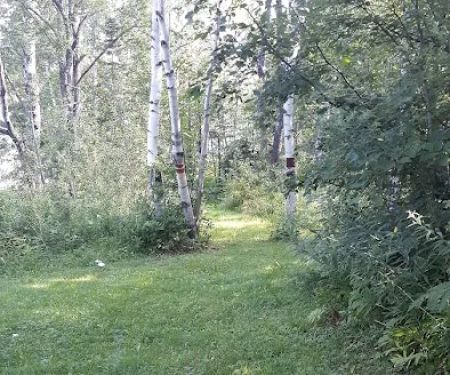 Burns Lake Campground