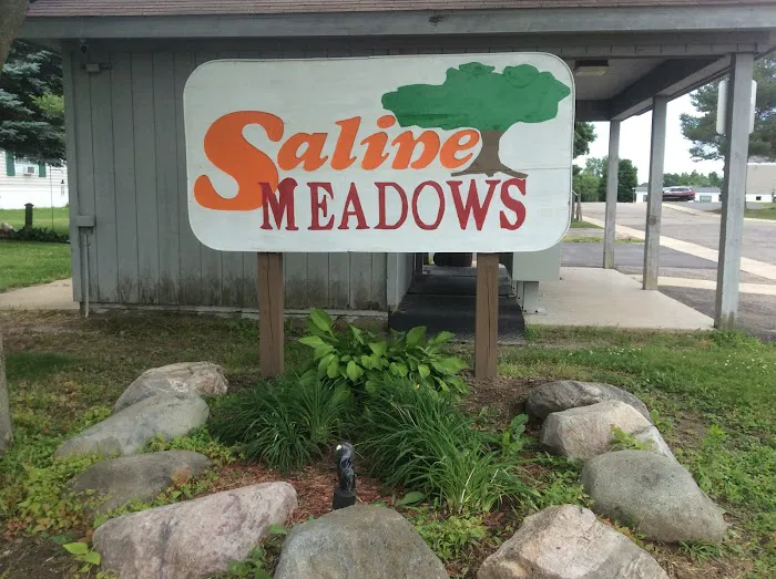 Saline Meadows Picture 1