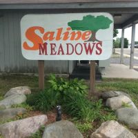 Saline Meadows ico