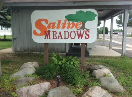 Saline Meadows