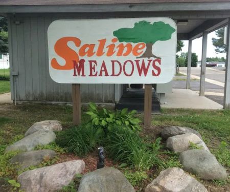 Saline Meadows