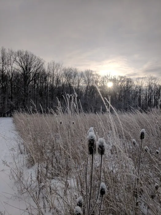 Saline Meadows Picture 10