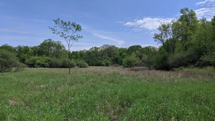 Saline Meadows Picture 8