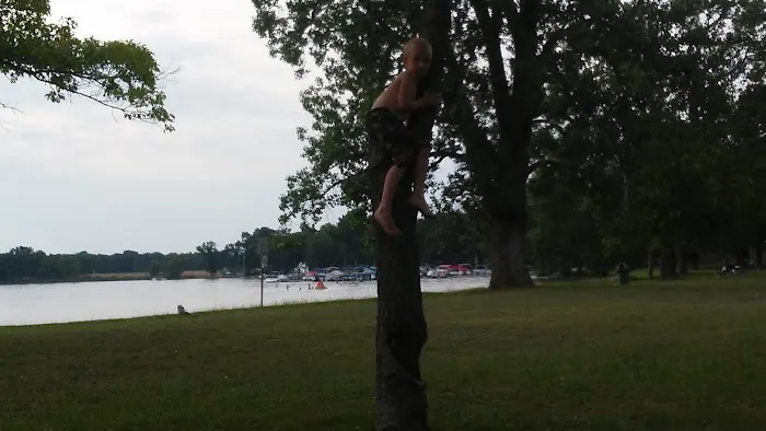Vinings Trailer Park Picture 10