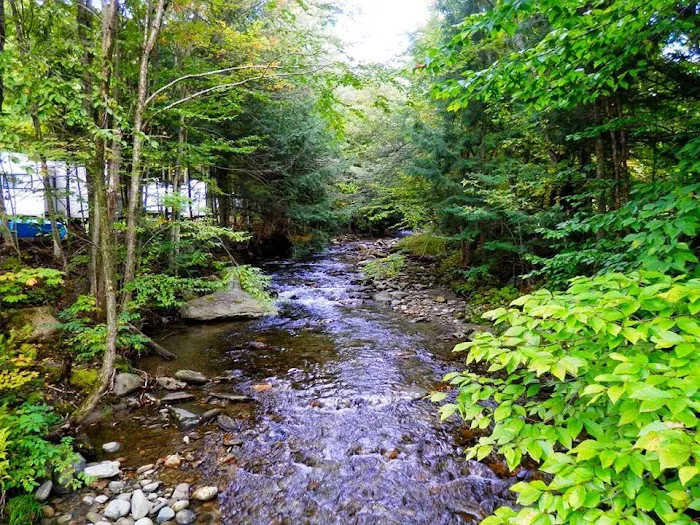 Millbrook Campground Picture 7