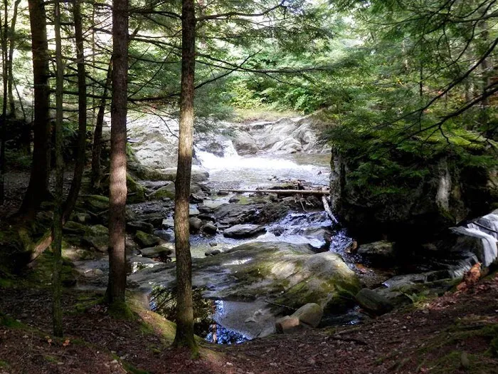 Millbrook Campground Picture 6