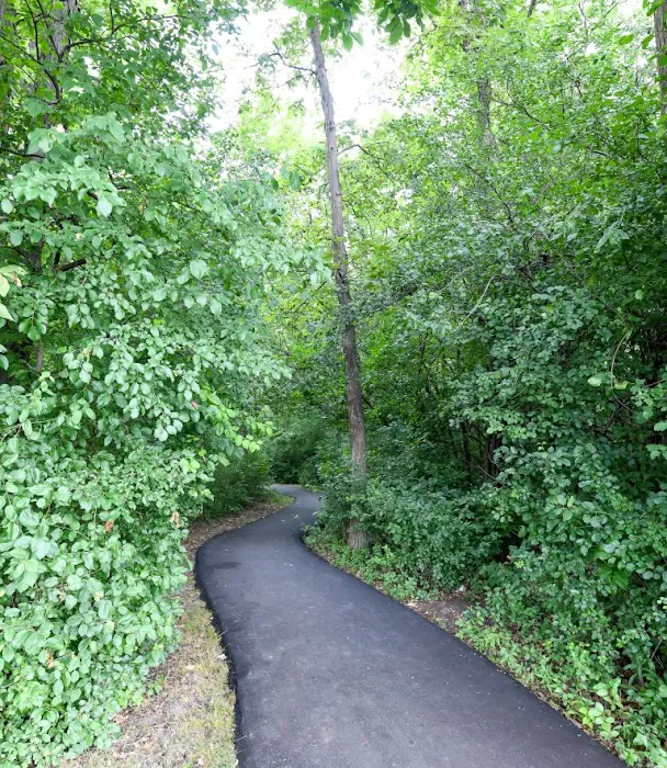 Arbor Meadows Picture 4