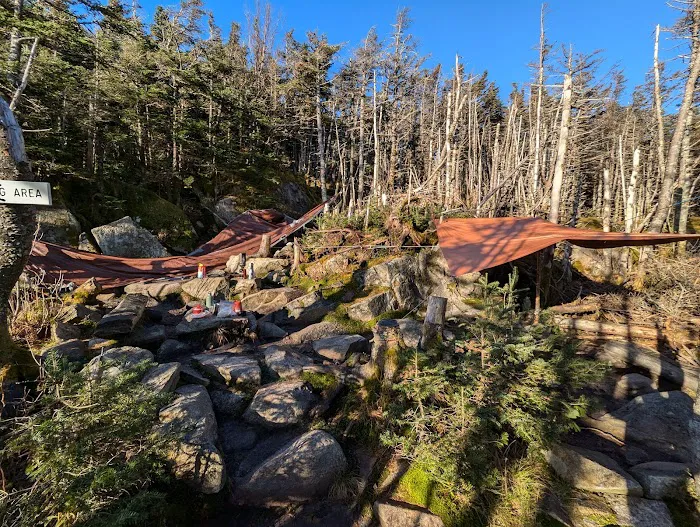 Garfield Ridge Campsite and Shelter, Appalachian Trail Picture 3