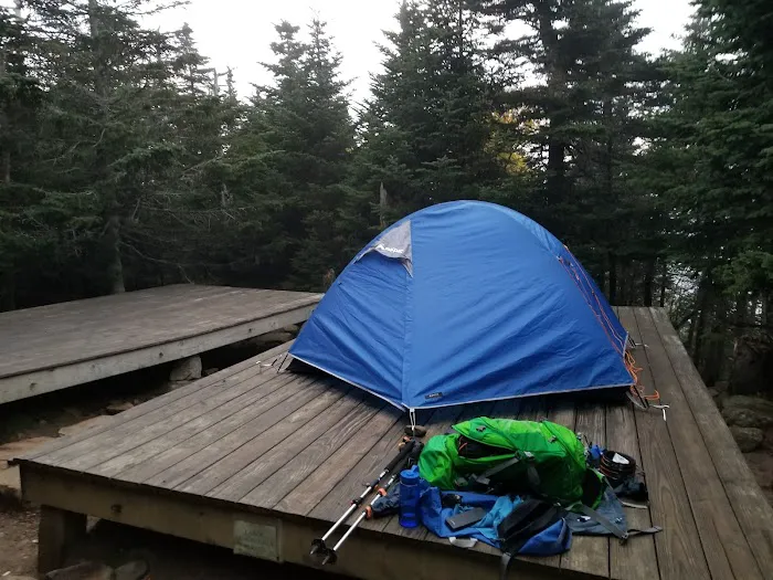 Garfield Ridge Campsite and Shelter, Appalachian Trail Picture 1