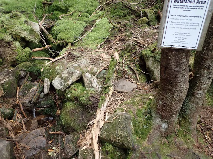 Garfield Ridge Campsite and Shelter, Appalachian Trail Picture 9