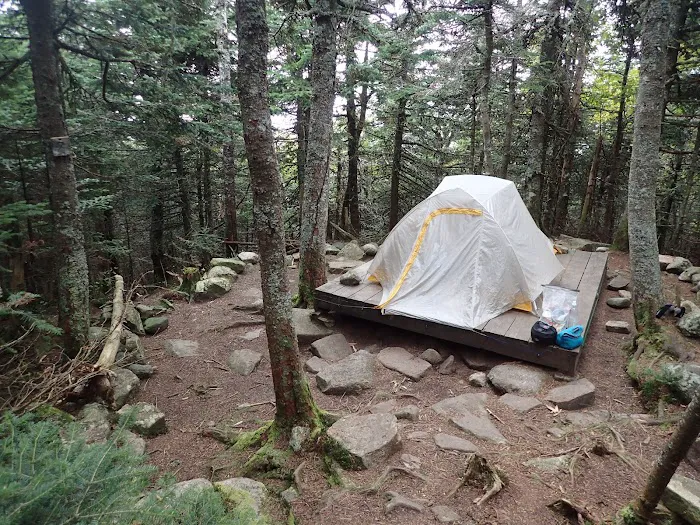 Garfield Ridge Campsite and Shelter, Appalachian Trail Picture 7