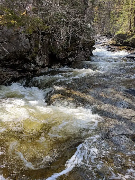 Thirteen Falls Tentsite Picture 7