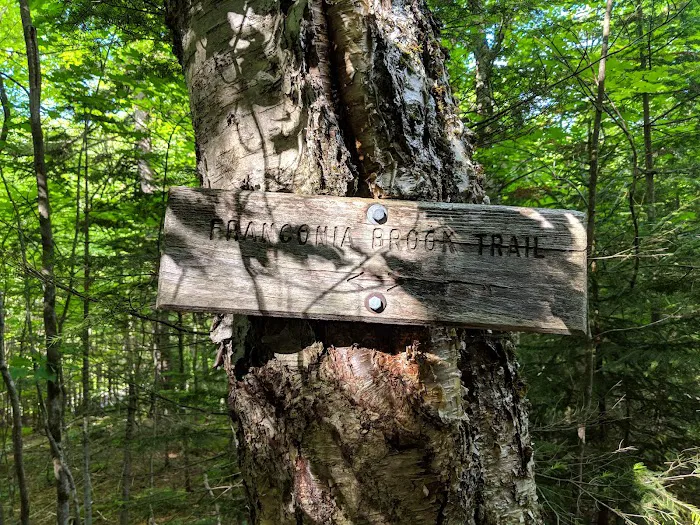 Thirteen Falls Tentsite Picture 4