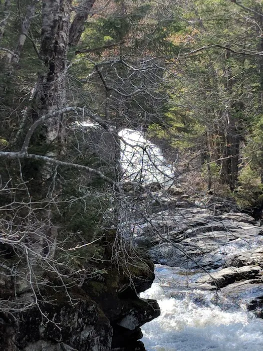 Thirteen Falls Tentsite Picture 5