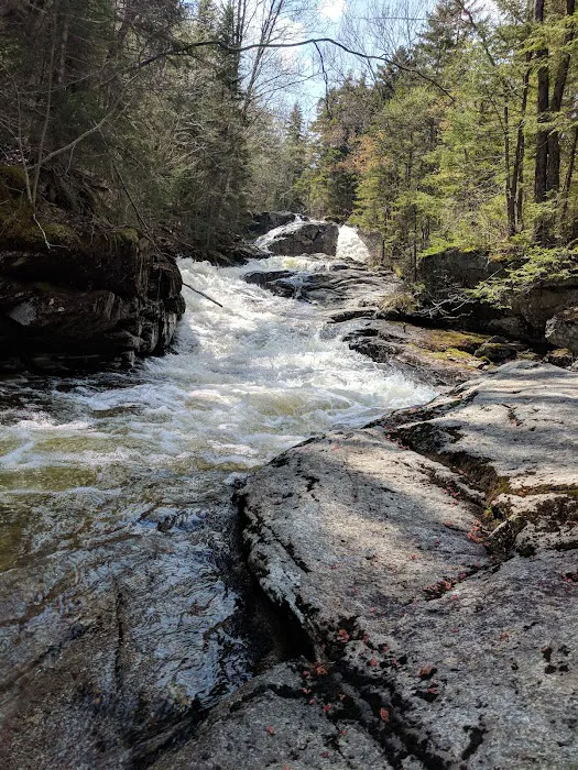 Thirteen Falls Tentsite Picture 3
