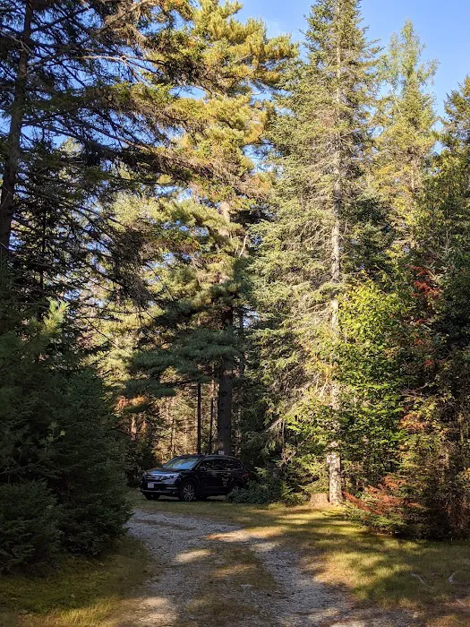 Beech Hill Campground Picture 3