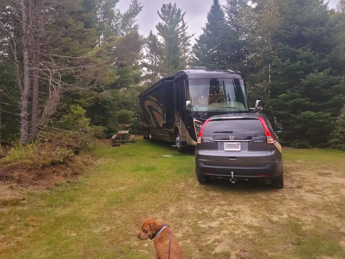 Beech Hill Campground Picture 4