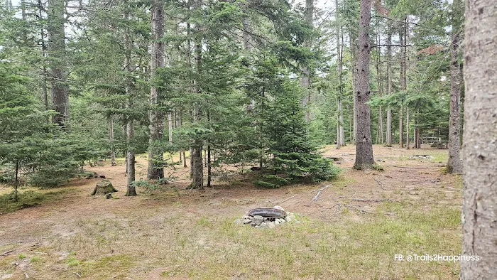 Beech Hill Campground Picture 2