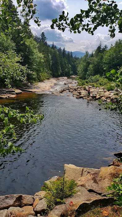 Ammonoosuc Campground Picture 9