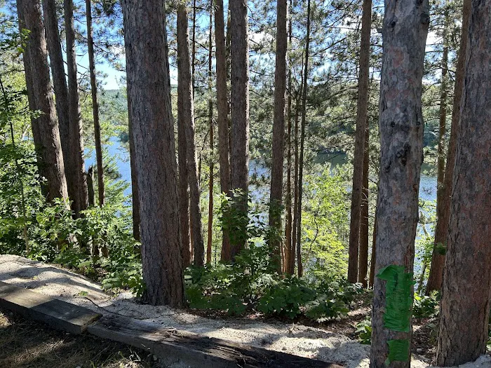 Lakeside Camping Picture 9