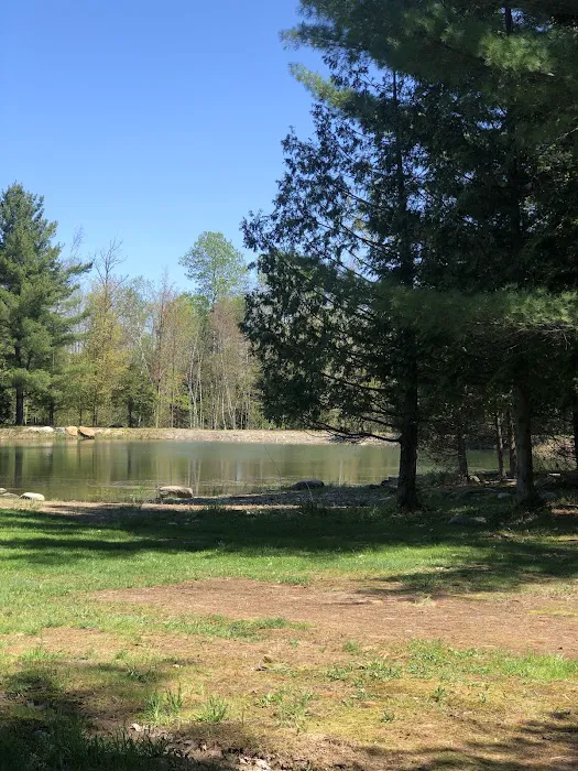 Base Camp RV Park and Campground Picture 9