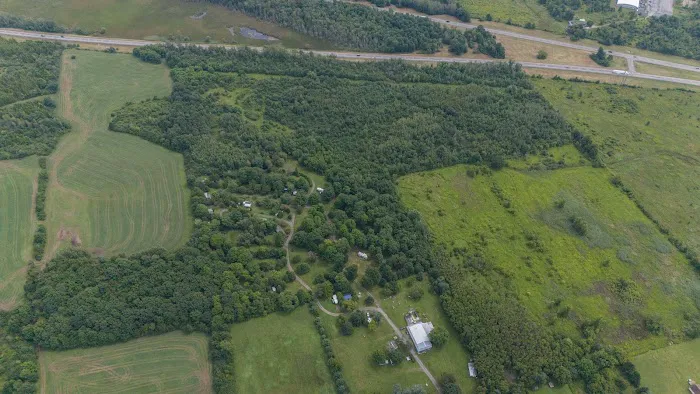 Shady Oaks Camping Resort Picture 4