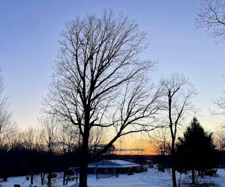 Shady Oaks Camping Resort