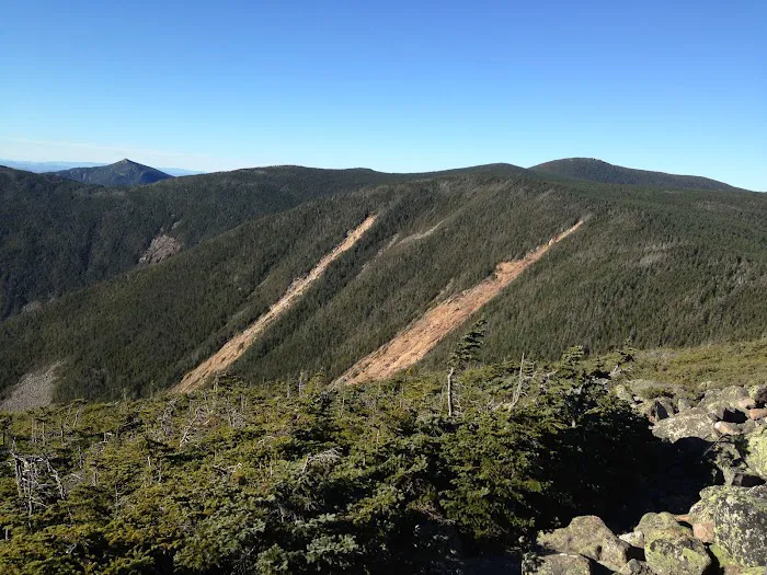 Guyot Shelter Picture 8