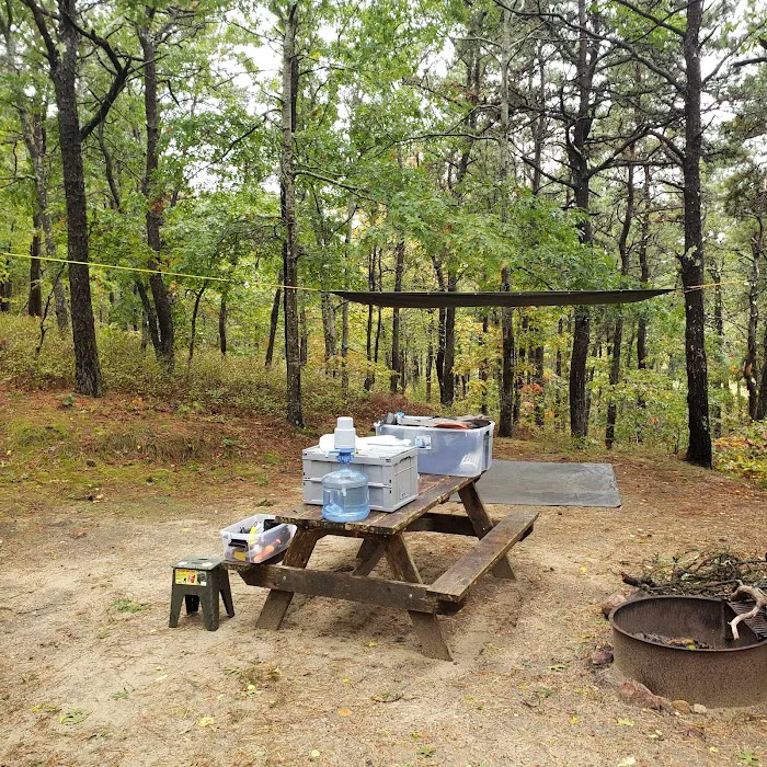 Shawme-Crowell State Forest Picture 8