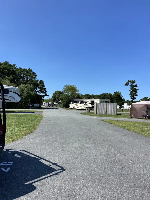 Scusset Beach Campground Picture 4