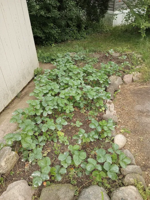 Bedford Hills Picture 10