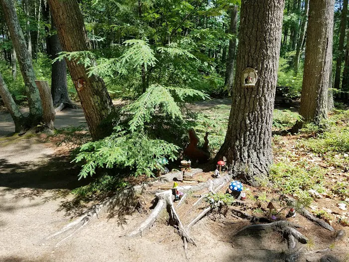 Stadig Mobile Park & Campgrnd Picture 3