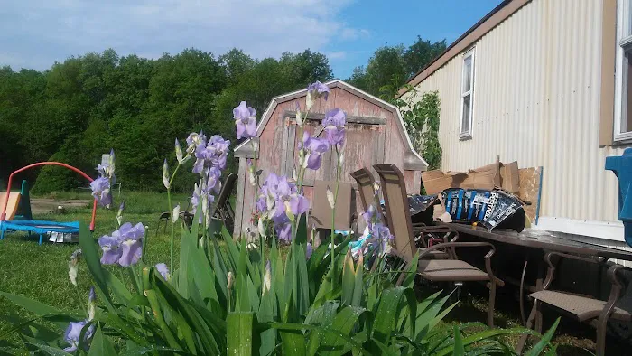 Andrews Estates Mobile Home Park Picture 3