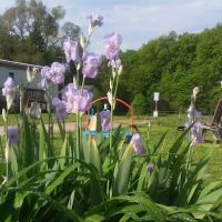 Andrews Estates Mobile Home Park ico