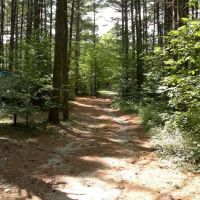 Windsong Campgrounds ico