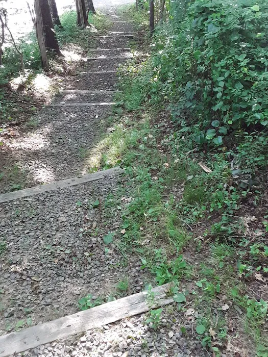 Dunroamin trailer/camping park Picture 9