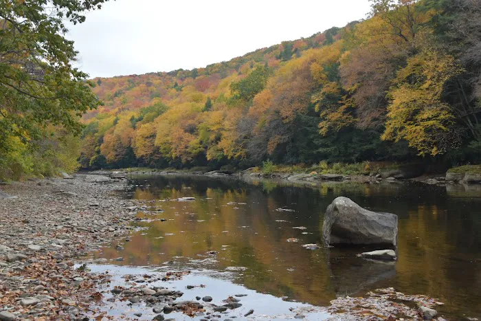 Clarion River Campground Picture 2