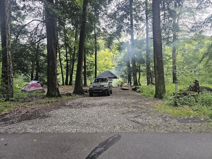 Clarion River Campground Picture 1