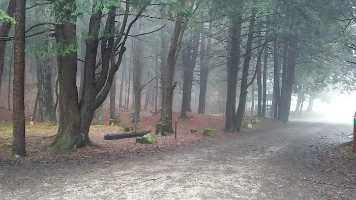 Kelly Pines Equestrian Campground Picture 6
