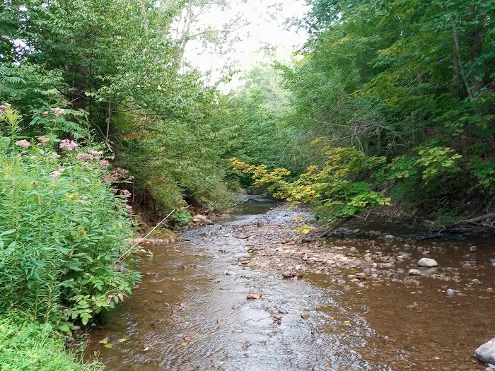 Arrowhead Camping Area Picture 2