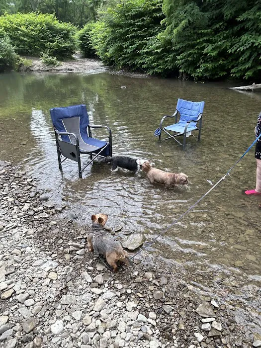 Lazy Acres Campgrounds Picture 9